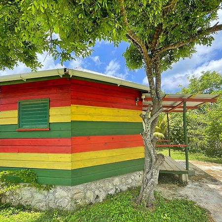 Judy House 2 - Lewis Backpacker Hostel Little Bay ห้อง รูปภาพ