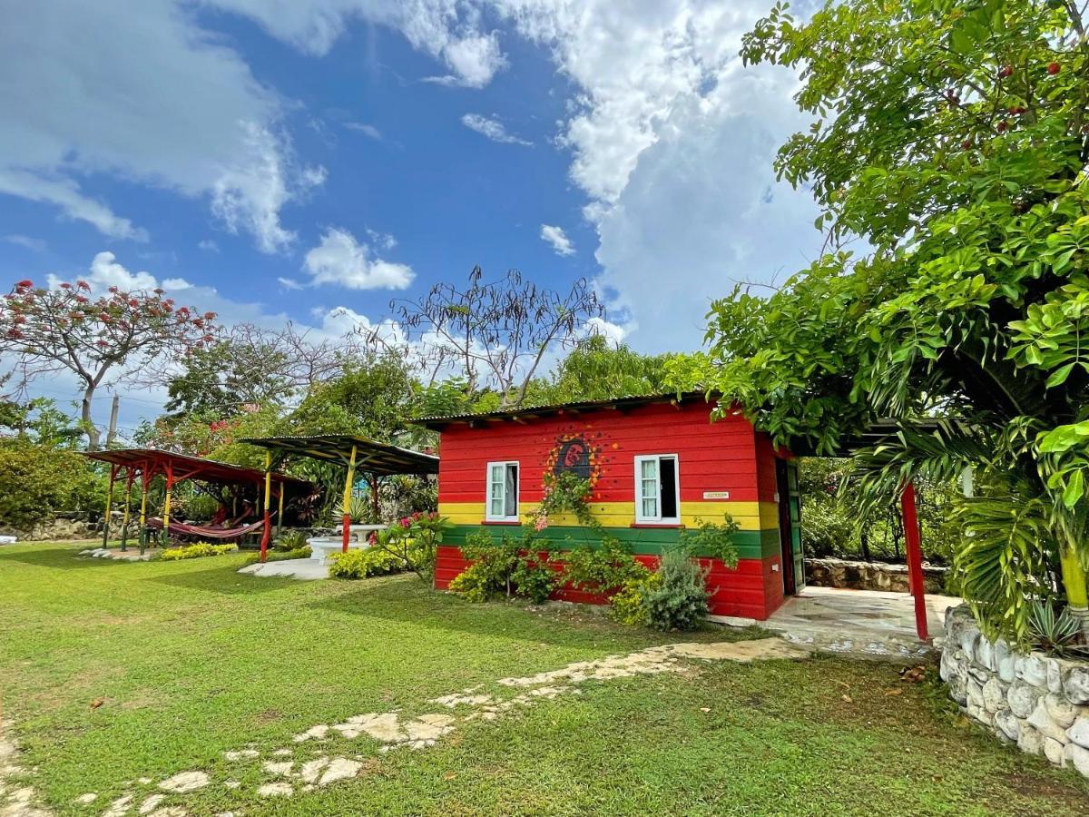 Judy House 2 - Lewis Backpacker Hostel Little Bay ภายนอก รูปภาพ