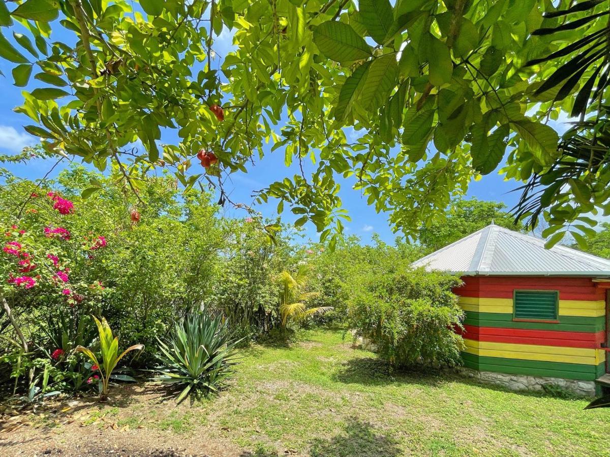 Judy House 2 - Lewis Backpacker Hostel Little Bay ห้อง รูปภาพ